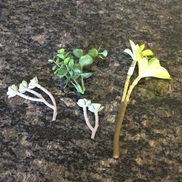 Starfish Wall Hooks & Decor - Picture 8 of 10